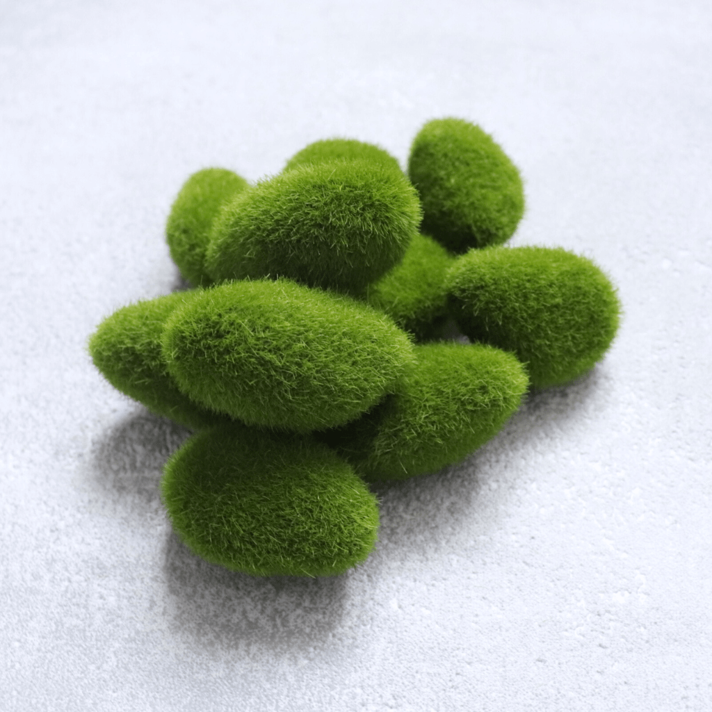 Dekorační mechové kameny 10 ks